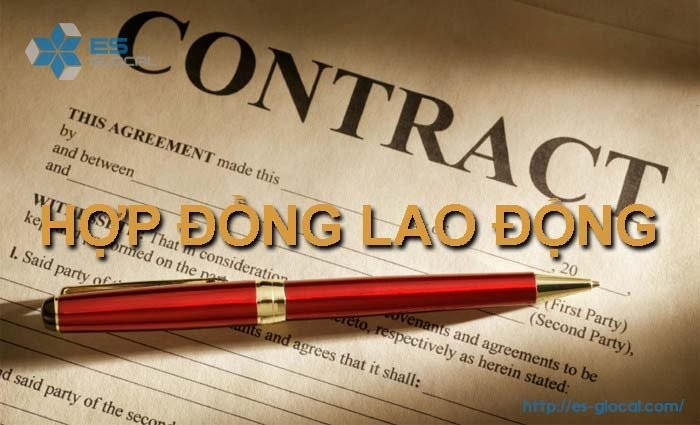 Các loại hợp đồng lao động năm 2023